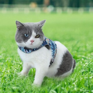 Foto 1 | Foto 1 | Juego De Arneses Reflectantes Para Gatos Huoguo Con Correa A Prueba De Fugas - Venta Internacional.