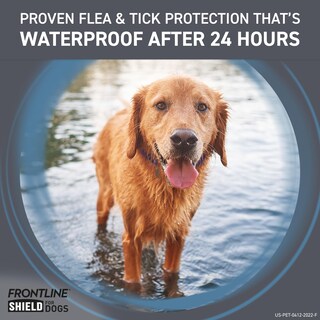 Foto 7 | Foto 7 | Protector Frontline Para El Tratamiento De Pulgas Y Garrapatas Para Perros Grandes - Venta Internacional.