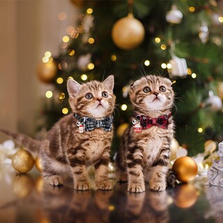 Foto 6 | Foto 6 | Collares Navideños Para Gatos, Vellibring, Paquete De 4, Ajustables Con Pajarita - Venta Internacional.