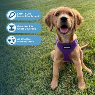 Foto 2 | Foto 2 | Arnés Para Perros Best Pet Supplies Voyager Step-in Air Purple Xxs - Venta Internacional.