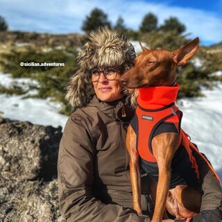 Foto 6 | Foto 6 | Arnés Para Mascotas, Los Mejores Suministros Para Mascotas, Malla Para Todo Clima - Venta Internacional.