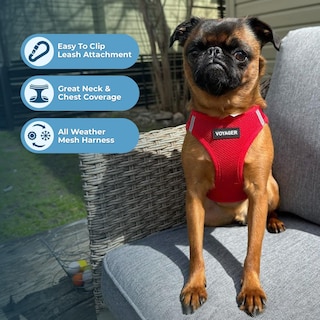 Foto 2 | Foto 2 | Arnés Para Perros Best Pet Supplies Voyager Step-in Air Red Xxs - Venta Internacional.
