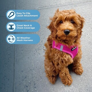 Foto 2 | Foto 2 | Arnés Para Perros Best Pet Supplies Voyager Step-in Air Fuchsia Xs - Venta Internacional.