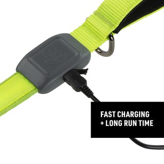 Foto 5 | Foto 5 | Correa para Mascotas Nite Ize Nitedog - Venta Internacional