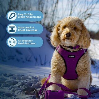 Foto 2 | Foto 2 | Arnés Para Perros Pequeños Voyager Step-in Air Para Todo Tipo De Clima - Venta Internacional.