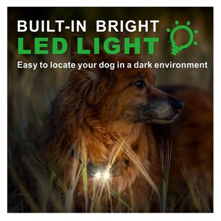 Foto 4 | Foto 4 | Collar Eléctrico Para Entrenamiento De Perros Lab.g, 3pz Negro Y Lineas Verdes