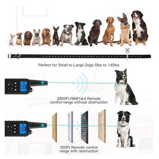 Foto 5 | Foto 5 | Collar Eléctrico Para Entrenamiento De Perros Lab.g, 3pz Negro Y Lineas Verdes