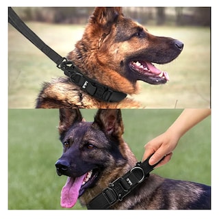 Foto 2 | Foto 2 | Collar Y Cuerda Para Perros Lab.g, Negro Talla Mediana