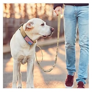 Foto 5 | Foto 5 | Collar Y Cuerda Para Perros Lab.g, Caqui Talla Xgrande