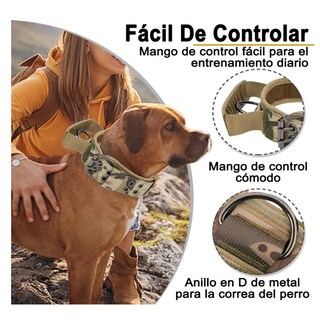 Foto 3 | Foto 3 | Collar Y Cuerda Para Perros Lab.g, L/ Camuflaje