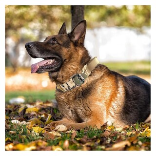 Foto 4 | Foto 4 | Collar Y Cuerda Para Perros Lab.g, L/ Camuflaje