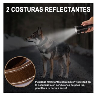 Foto 5 | Foto 5 | Collar Y Cuerda Para Perros Lab.g, L/ Camuflaje
