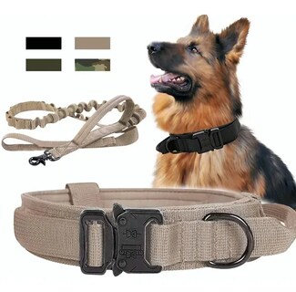 Foto 2 | Foto 2 | Collar para Perro Xtellar + Correa XL