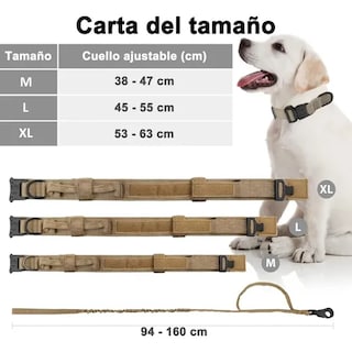Foto 4 | Foto 4 | Collar para Perro Xtellar + Correa XL