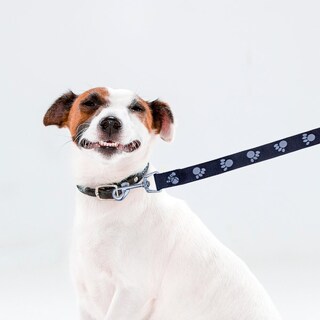 Foto 3 | Foto 3 | Correa para Mascotas color Negro con Estampado de Huellitas Talla Mediana Ergonómico Altamente Resistente