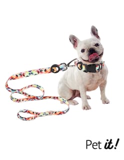 Foto 3 | Foto 3 | Correa para Perro Pet It Dash talla Mediana