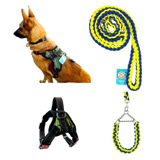 Foto 3 | Foto 3 | Correa con Collar y Arnés de Seguridad para Perros Grandes