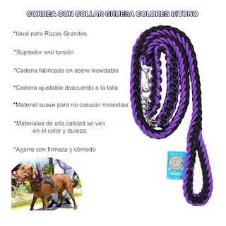 Foto 6 | Foto 6 | Correa con Collar y Arnés de Seguridad para Perros Grandes