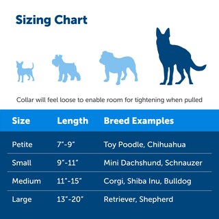 Foto 4 | Foto 4 | Collar Martingale PetSafe con Hebilla Quick Snap Rojo Grande - Venta Internacional