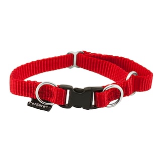 Foto 1 | Foto 1 | Collar para Perro PetSafe Keepsafe Break-Away Pequeño - Venta Internacional