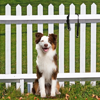 Foto 2 | Foto 2 | Collar para Perro PetSafe Keepsafe Break-Away Pequeño - Venta Internacional