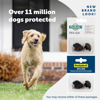 Foto 6 | Foto 6 | Kit de Accesorios para Collares de Repuesto PetSafe para Mascotas - Venta Internacional