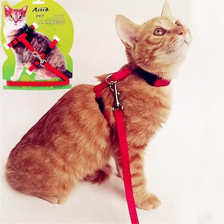 Foto 2 | Foto 2 | Chaleco Antiescape Ajustable Cat Harness Huoguo Rojo - Venta Internacional.