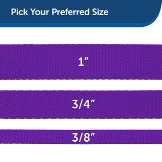 Foto 5 | Foto 5 | Correa De Nailon Petsafe Para Perros, 1 Pulgada X 6 Pies, Fuerte Y Duradera, Color Morado Oscuro - Venta Internacional.