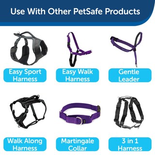 Foto 6 | Foto 6 | Correa De Nailon Petsafe Para Perros, 1 Pulgada X 6 Pies, Fuerte Y Duradera, Color Morado Oscuro - Venta Internacional.