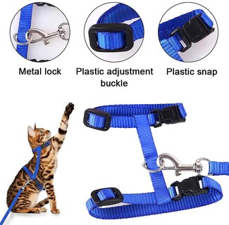 Foto 2 | Foto 2 | Arnés Para Gatos Kitte Huoguo Ajustable De Nailon Con Correa De 120 Cm - Venta Internacional.