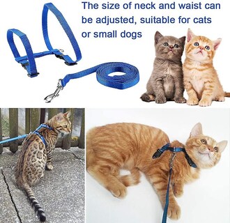 Foto 3 | Foto 3 | Arnés Para Gatos Kitte Huoguo Ajustable De Nailon Con Correa De 120 Cm - Venta Internacional.