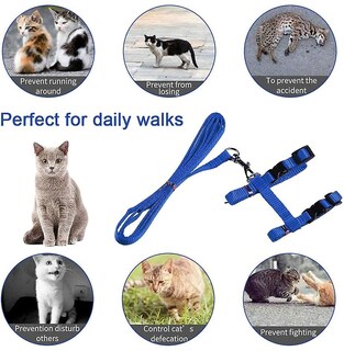 Foto 4 | Foto 4 | Arnés Para Gatos Kitte Huoguo Ajustable De Nailon Con Correa De 120 Cm - Venta Internacional.