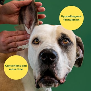 Foto 4 | Foto 4 | Toallitas Para Orejas De Perro Con Clasificación Terrestre, Hipoalergénicas, 60 Unidades - Venta Internacional.