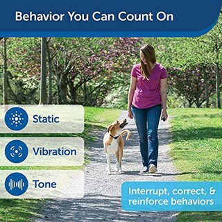 Foto 3 | Foto 3 | Remote Trainer Petsafe Remote 900 M Para Perros - Venta Internacional.