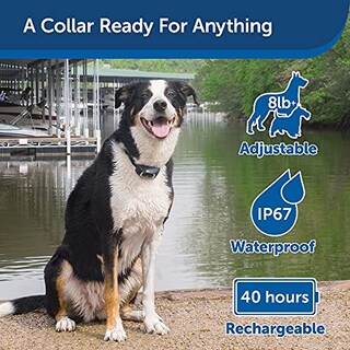 Foto 5 | Foto 5 | Remote Trainer Petsafe Remote 900 M Para Perros - Venta Internacional.