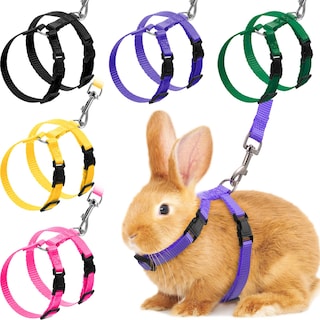 Foto 1 | Foto 1 | Juego De Arneses Para Mascotas Para Conejos, Gatitos, Cachorros Y Hurones (5 Unidades) - Venta Internacional.
