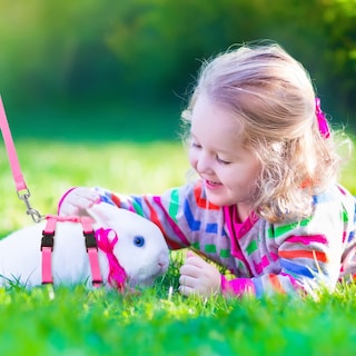 Foto 3 | Foto 3 | Juego De Arneses Para Mascotas Para Conejos, Gatitos, Cachorros Y Hurones (5 Unidades) - Venta Internacional.