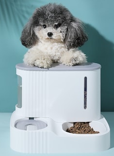 Foto 1 | Foto 1 | Set De Comedero Automático Para Mascotas Y Dispensador De Comida Para Gatos Con Fuente De Agua - Venta Internacional.
