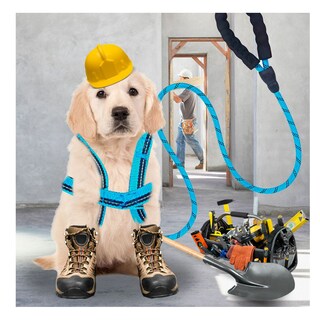 Foto 3 | Foto 3 | Kit de Arnés y Correa para Mascota Talla Mediana
