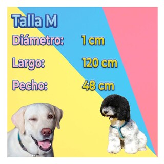 Foto 4 | Foto 4 | Kit de Arnés y Correa para Mascota Talla Mediana