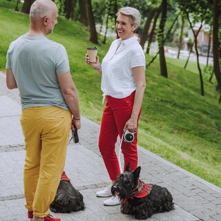 Foto 7 | Foto 7 | Correa Retráctil Para Perros Flexi New Comfort Tape Para Perros Pequeños - Venta Internacional.