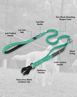 Foto 7 | Foto 7 | Correa Táctica Para Perros Joytale, Resistente, Absorbe Los Golpes, Color Verde Azulado - Venta Internacional.