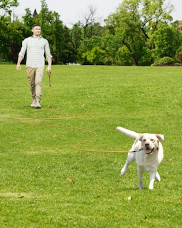 Foto 2 | Foto 2 | Correa Larga Para Perros Training Leash Joytale, 30 Pies, Color Naranja - Venta Internacional.