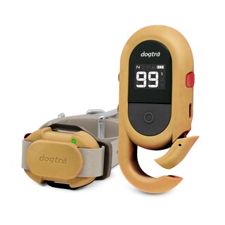 Foto 1 | Foto 1 | Collar De Entrenamiento Dogtra Cue Gen 2 Tan Para Perros Con Mando A Distancia - Venta Internacional.