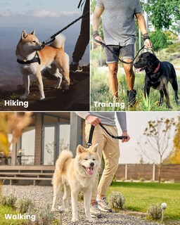 Foto 6 | Foto 6 | Correa Elástica Para Perros Outdoormaster, De Alta Resistencia, Absorción De Impactos - Venta Internacional.