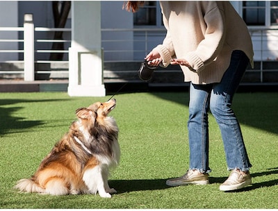 Foto 5 | Foto 5 | Correa Retráctil Para Perros Fida De 16 Pies Para Perros Pequeños De Hasta 12 Kg, Azul - Venta Internacional.