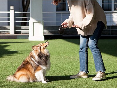 Foto 5 | Foto 5 | Correa Retráctil Para Perros Fida De 16 Pies Para Perros Medianos De Hasta 20 Kg - Venta Internacional.