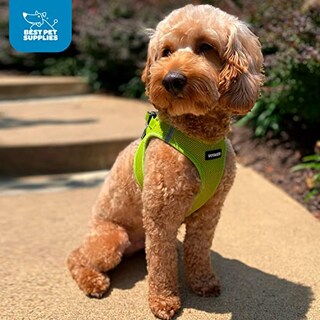 Foto 5 | Foto 5 | Arnés Para Perros Best Pet Supplies Voyager Step-in Air Xl Lime - Venta Internacional.