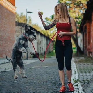 Foto 7 | Foto 7 | Slip Lead Fida Durable, 6 Pies X 3/8 Pulgadas, Para Perros Pequeños, Nailon Rojo - Venta Internacional.