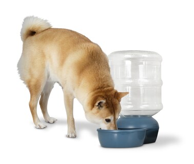Foto 1 | Foto 1 | Gravity Waterer Aspen Pet Lebistro Para Perros Y Gatos, 3,8 Litros - Venta Internacional.